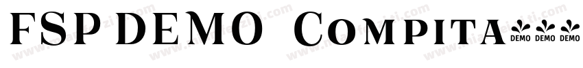 FSP DEMO   Compita字体转换